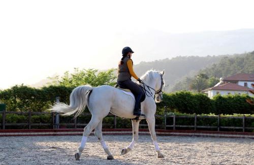 Atakoy Hotel | Padok Premium Hotel & Stables