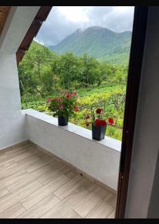 Boge House | Paja Guesthouse - Camping