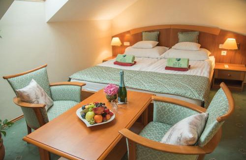 Heviz Hotel | Palace Hotel Hévíz