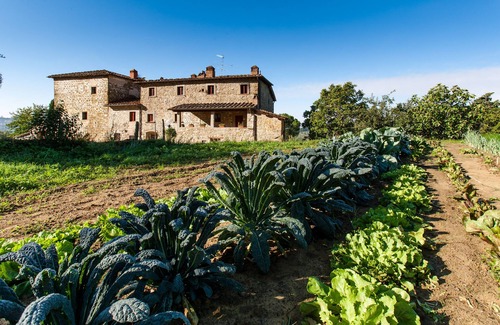 Pelago Apartment | Palaia Farm - Accommodation "BOTTI"