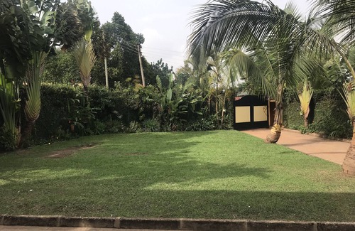 Kireka House | palm house travelers