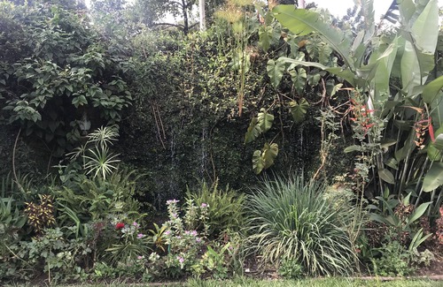Kireka House | palm house travelers