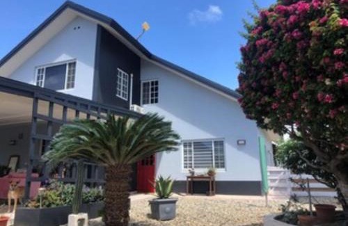 Balashi Apartment | Palmhouse Aruba 1-2 persons