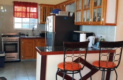Hillsborough House | PalmVille - Charming 2-bedroom house with AC, WiFi
