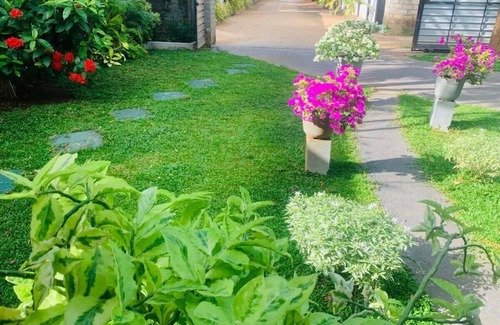 Kochchikade House | Palmwood Cottages with Private Kitchen Near Airport