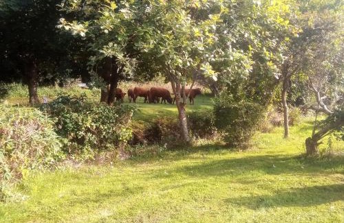Bryngwran Bed & Breakfast | Pandy cymunod