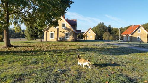 Darsuniskis House | Panemunio sodyba