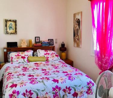 Arkasa Apartment | Pangiotas Pencione