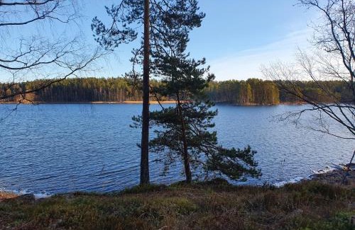 Punkaharju Villa | Pankkotupa 66 "13B"
