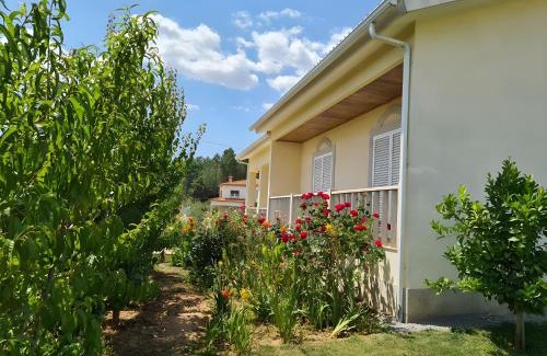 Vila Real House | Panoias Country House