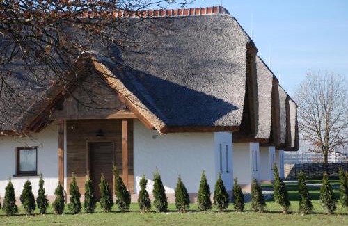 Moravske Toplice Villa | Panonska Vas Villas