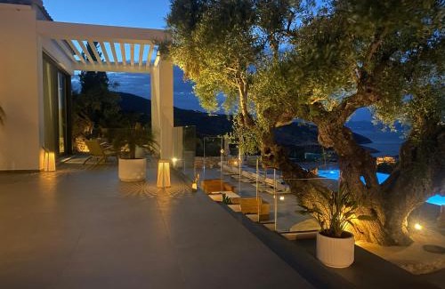 Skinaria Villa | PanoPlagia Villa