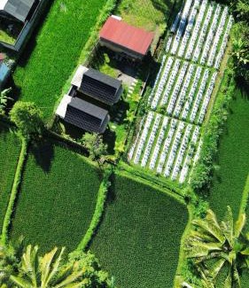 Tetebatu House | PANORAMA BUNGALOWs