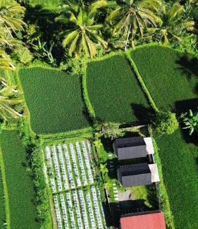 Tetebatu House | PANORAMA BUNGALOWs