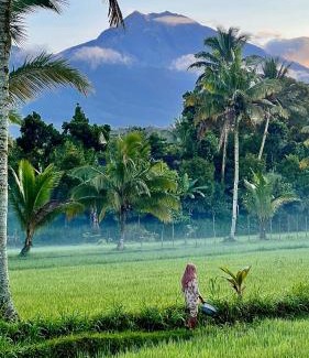 Tetebatu House | PANORAMA BUNGALOWs
