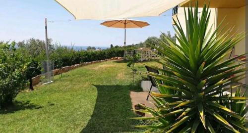 Makri House | Panorama Olive Garden Apartment