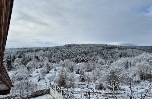 Razlog Ski Chalet | Panorama Pines Lodge