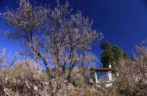 Garafia House | Panorama Suite El Mirador
