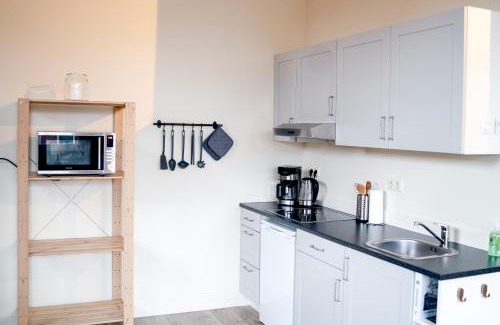 Berltsum Apartment | Panta Rhei - Logement de 12e stad