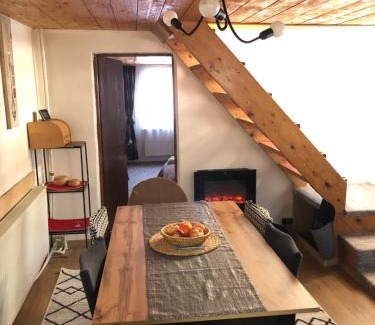 Petrosani House | Parâng View