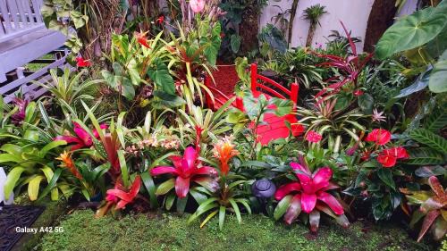 Hilo House | Paradise Cottage at Anthurium Hale