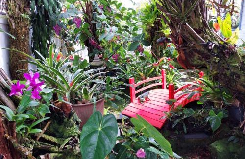Hilo House | Paradise Cottage at Anthurium Hale