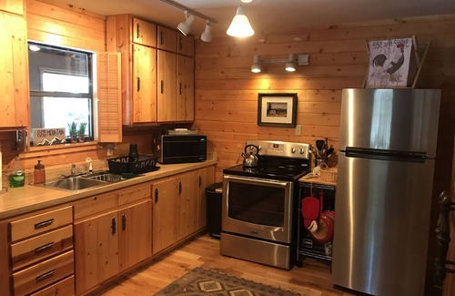 Whitepine Cabin | PARADISE! Ride-In/Ride-Out Cabin located in St. Elmo, CO. STR Permit#: 005594