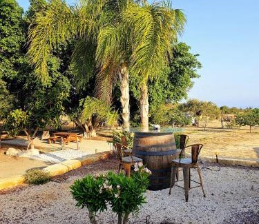 Maroni House | Paradise Traditional House