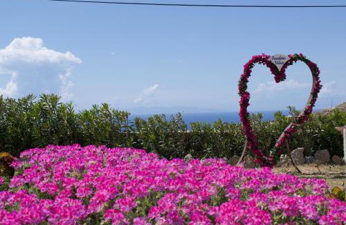 Tourlos Villa | Paradisia Villas