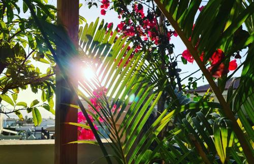 Palm-Mar Apartment | Paraiso Del Palm Mar