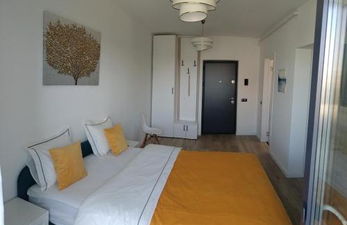 Baia Mare Apartment | Parc Central Republicii 63