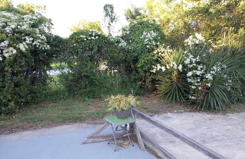 Smyrna Apartment | Park boat front of Studio near beaches Cape Lookout Core Sound Ferries, kitchen