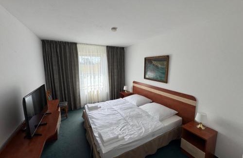 Benatky nad Jizerou House | Park Pension