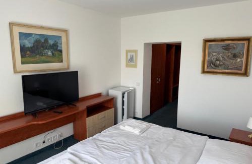 Benatky nad Jizerou House | Park Pension