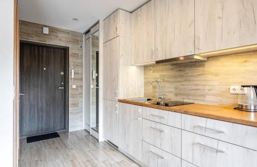 Kaunas Apartment | Park's Edge apartment