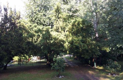 Somotor Apartment | Park - ubytovanie v súkromí Somotor