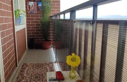 Tashkent Apartment | parkent plaza apartments