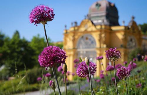 Marianske Lazne Hotel | Parkhotel Golf Marianske Lazne