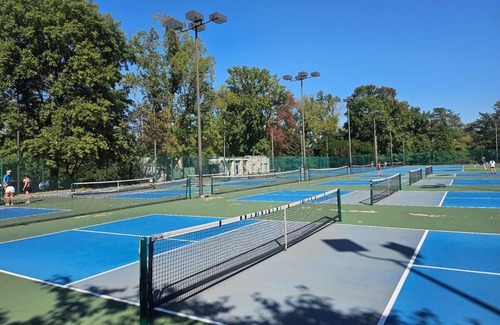 Tower Grove South Apartment | Parkside Fam & pet friendly apt 15 min to Arch