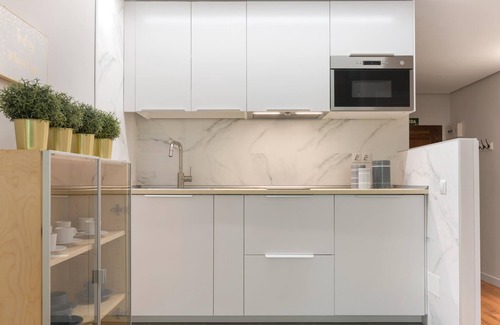 Golden Triangle of Art Apartment | Paseo del Prado I - Studio with Pool and Terrace