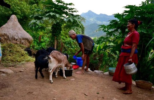 Dhading House | Pastoral Farmstay