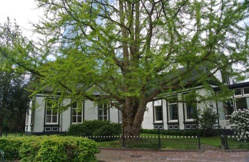 Zuidhorn Bed & Breakfast | Pastorie Tijdverblijf