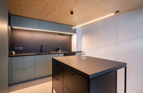 Uzupis Apartment | Paupys Central Loft A by Reside Baltic