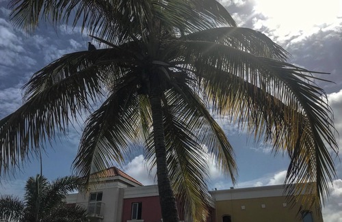 Dieppe Bay Town House | Peaceful 2-bedroom space with sea and Mountain View with WiFi, AC.