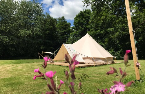 Swannington Cabin | Peaceful and hidden away in rural Norfolk, Lilypad sits amongst wild flowers