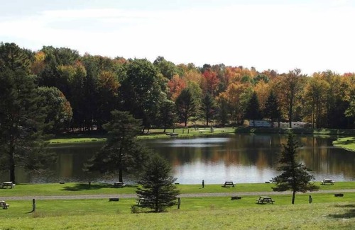 Endicott House | Peaceful Cabin Escape! Free Parking, Water Sports Activities!