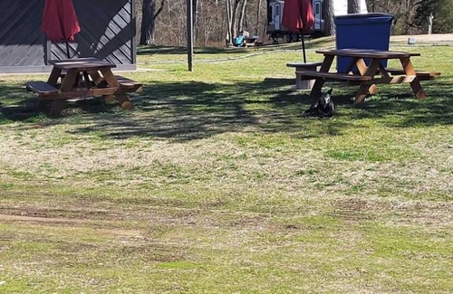 Scraper Cabin | Peaceful Cabin, fish, Illinois river, Kayak, Golfing