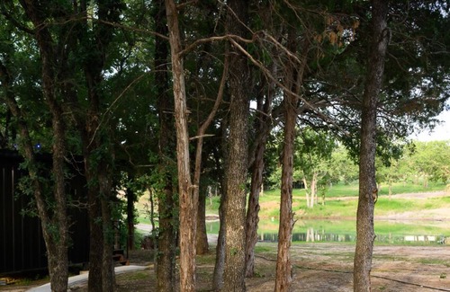Alvord Cabin | Peaceful Cabin for 2 - 10 Min. from Downtown Decatur - 4 Cabins Total Available