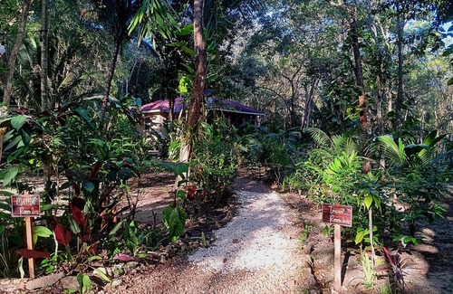 San Ignacio Cottage | Peaceful Family Cottage w/AC, 3 beds- Car rental, Restaurant & Private pickup