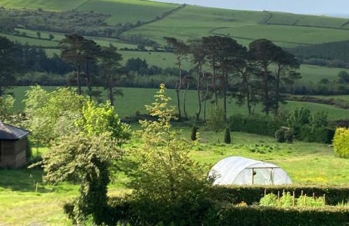 Wingfield Apartment | Peaceful Garden Studio near Gorey Sleeps 4 Parking